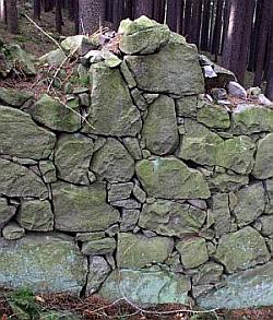 Zeď