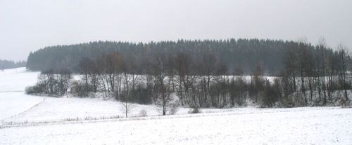 Násep