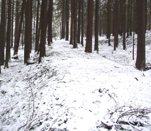 Násep
