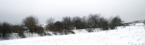 Násep