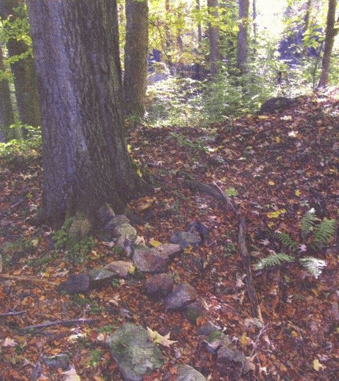 Teslíny