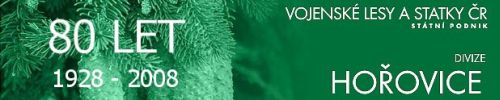 Logo VLS